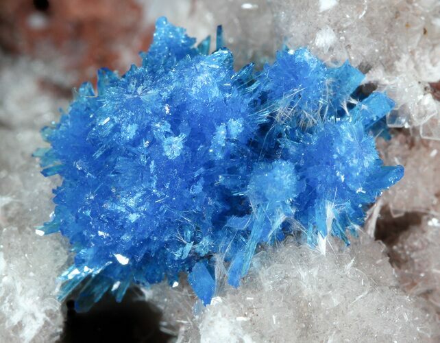 Vibrant Blue Cavansite Cluster on Stilbite - India #45875